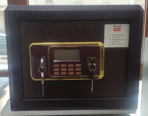 Seyf 3D-310