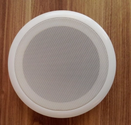 Westa Ws-206 6 inç 6w 8 ohm 100v Tavan