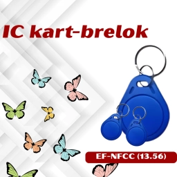 keçid nəzarət sistemi