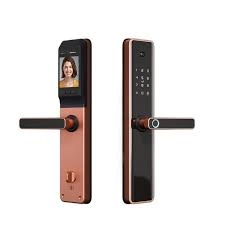 Sərfəli Qiymətə Ağıllı Qapı Sis-ql-s802pro