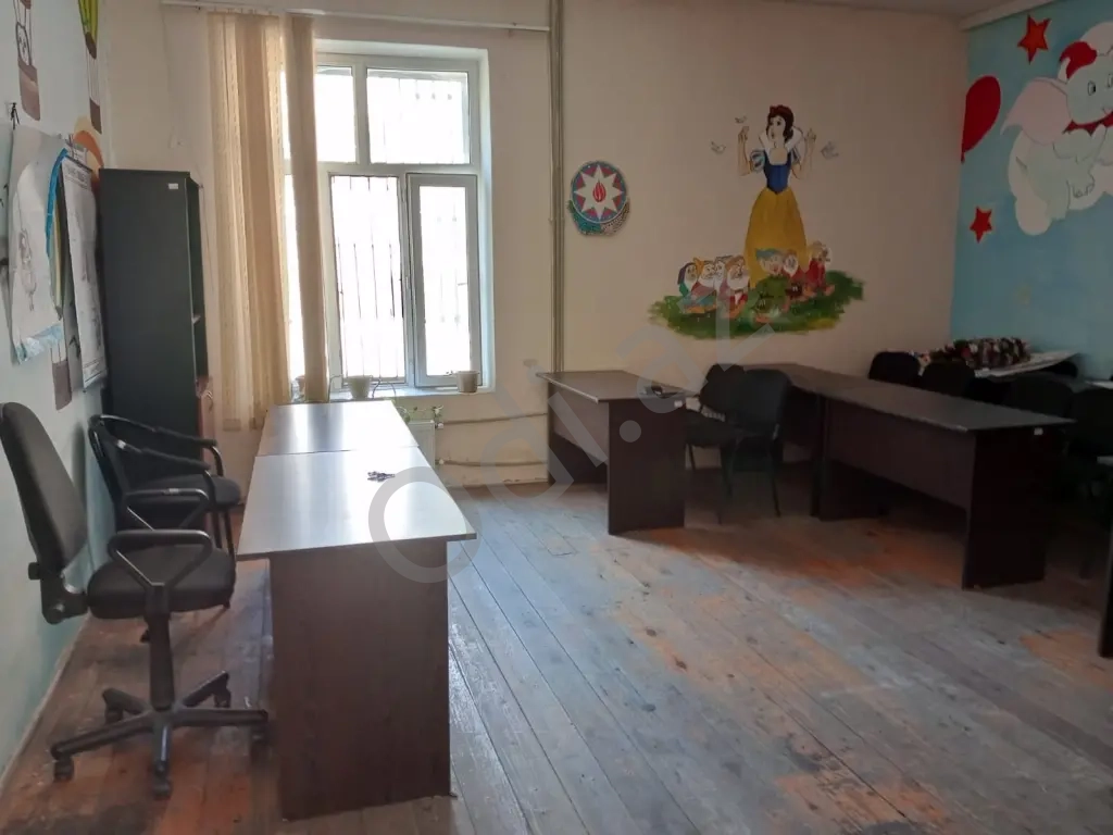 Kampyutor kursları