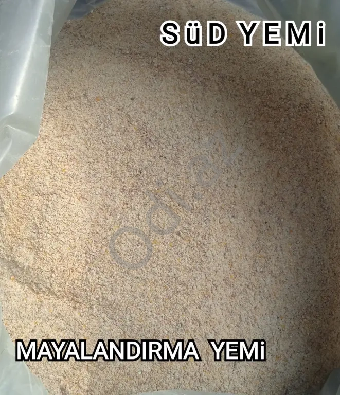 Mayalandırma yemi. Süd yemi. İlk 4-7 gün verilir