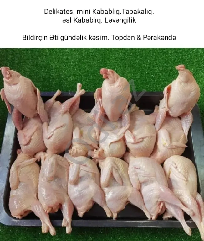 Bildirçin Texas Pambıq Əti
