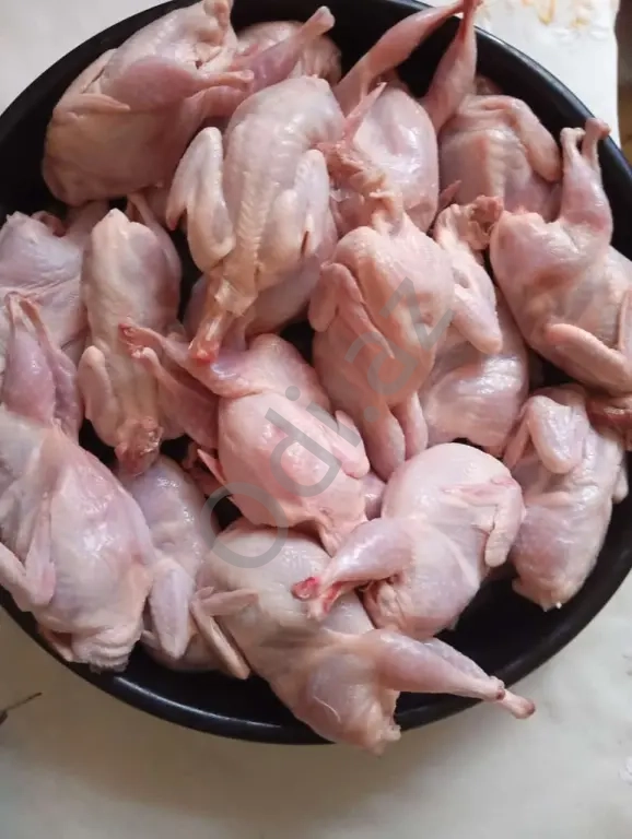 Bildirçin Texas Pambıq Əti