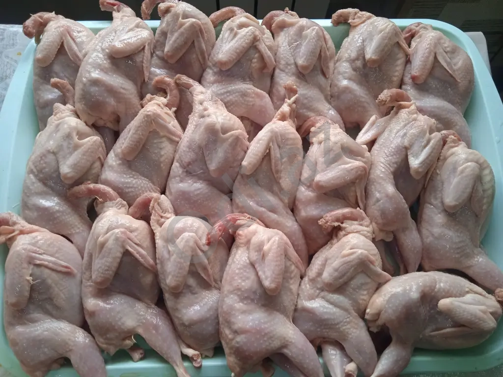 Bildirçin Texas Pambıq Əti