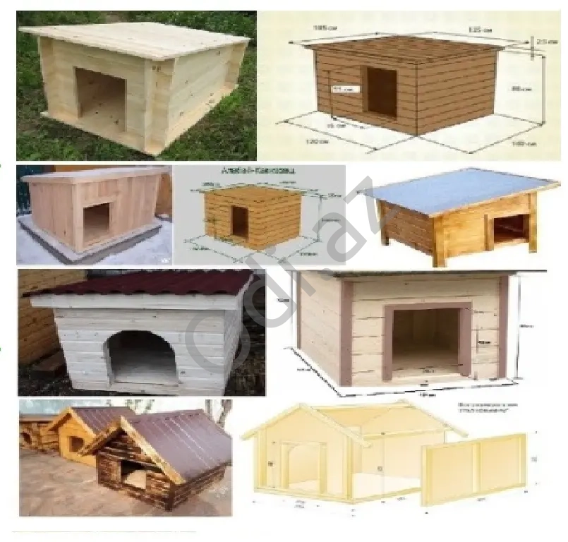 Cücə üçün Bruder. Toyuq Hini
