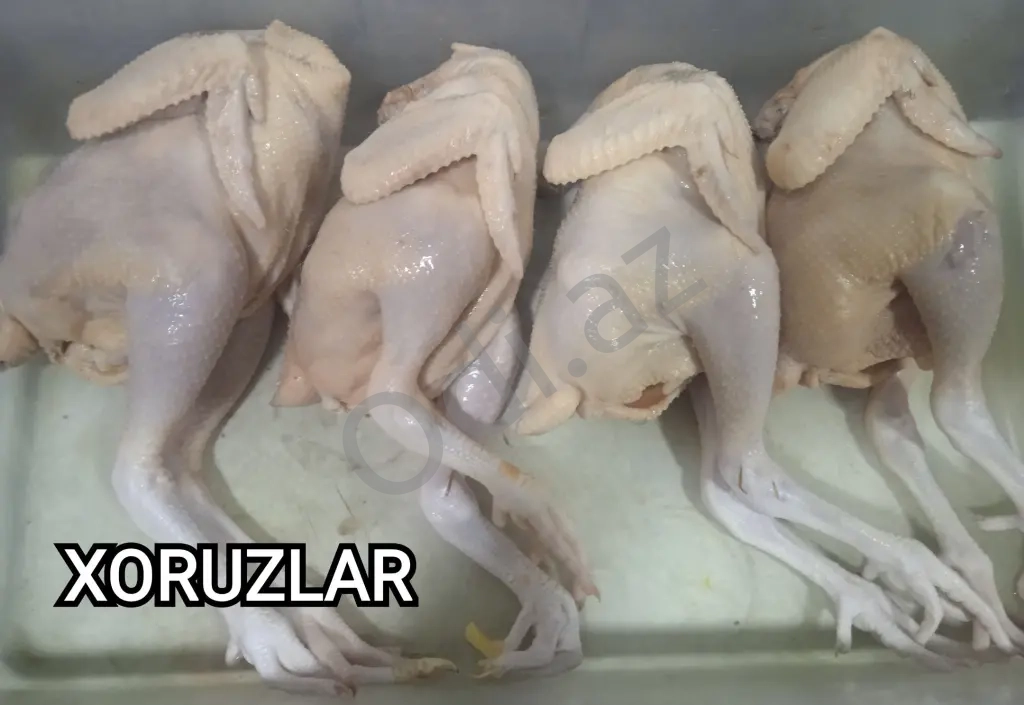 Serebrist Xoruz Əti
