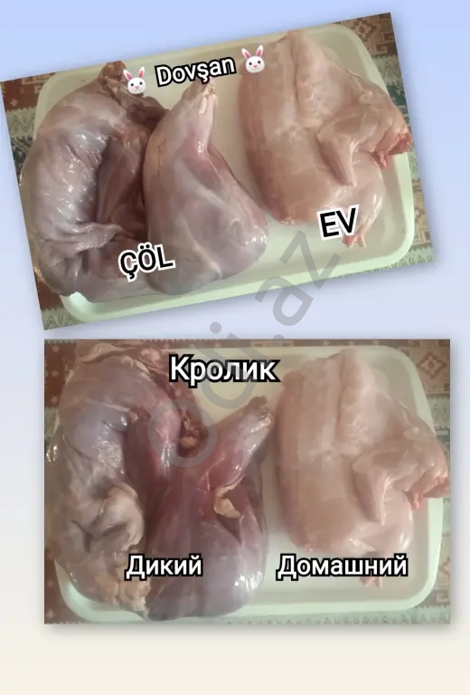 Dovşan Əti. Sifarişlə