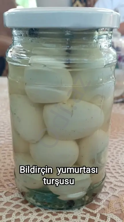 Bildriçin yumurtası