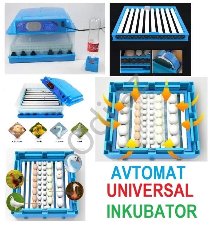 full avtomatik inkubatorlar