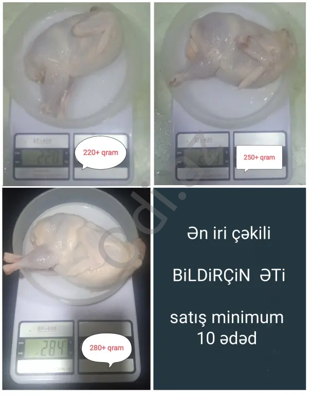 Bildirçin Texas Pambıq Əti
