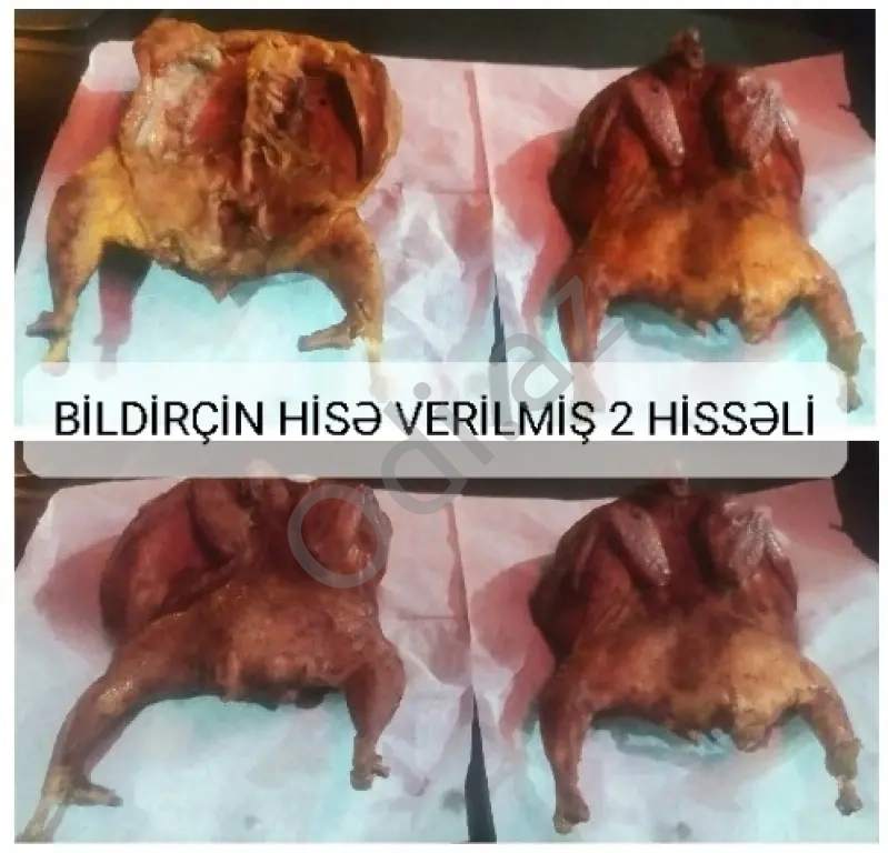 Hisə verilmiş Bildirçin və Toyuq məhsulları