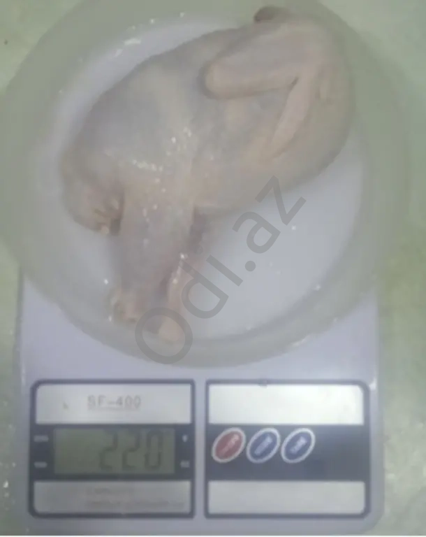 Bildirçin Texas Pambıq Əti
