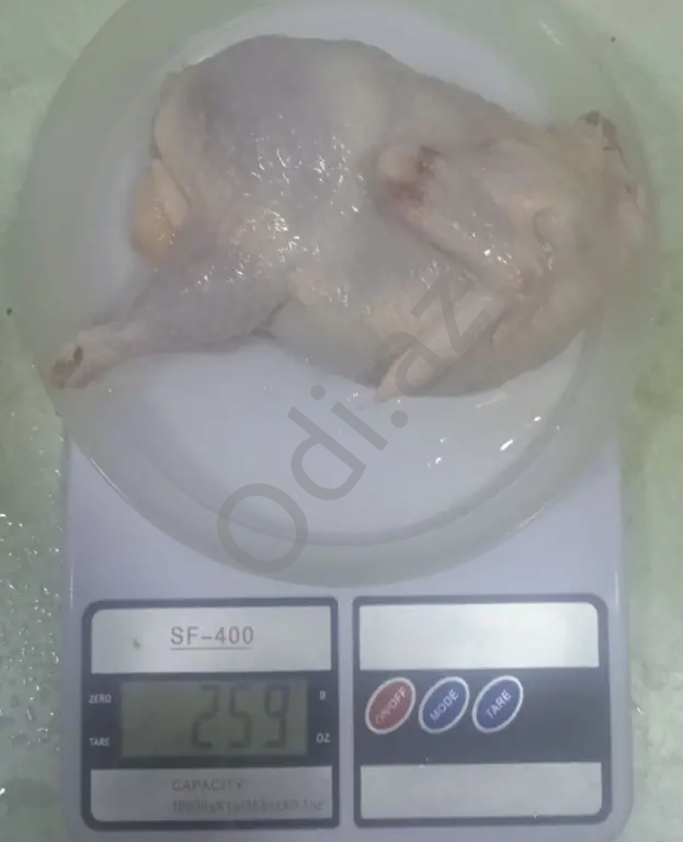 Bildirçin Texas Pambıq Əti