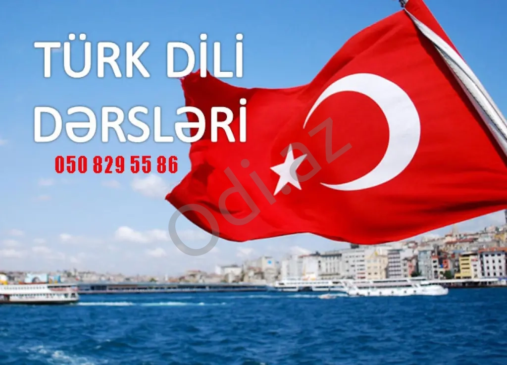 Türk dili kursları