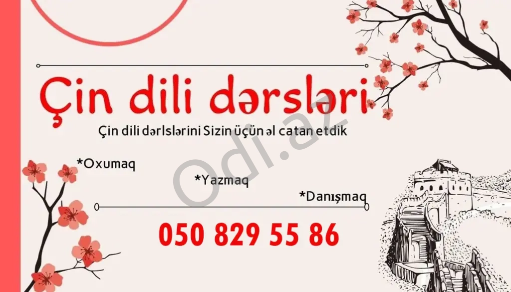 Çin dili kursları fərdi individual dərslər