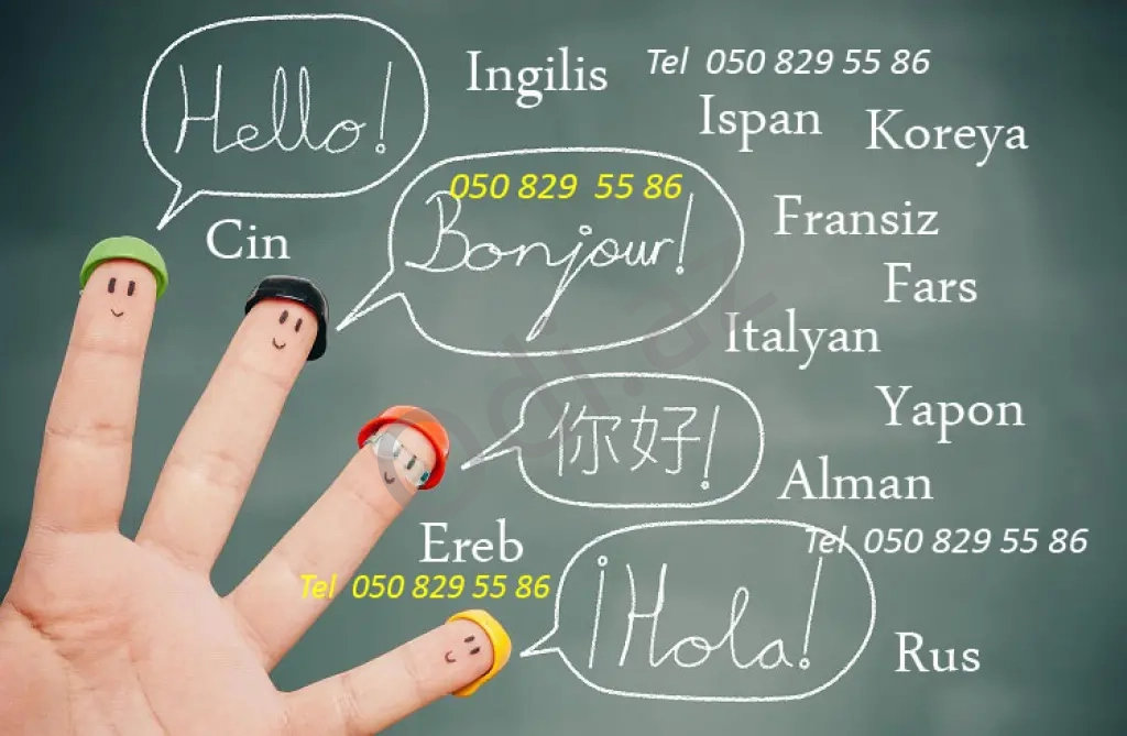 A-dan Z-ə bütün xarici dilər tək ünvanda