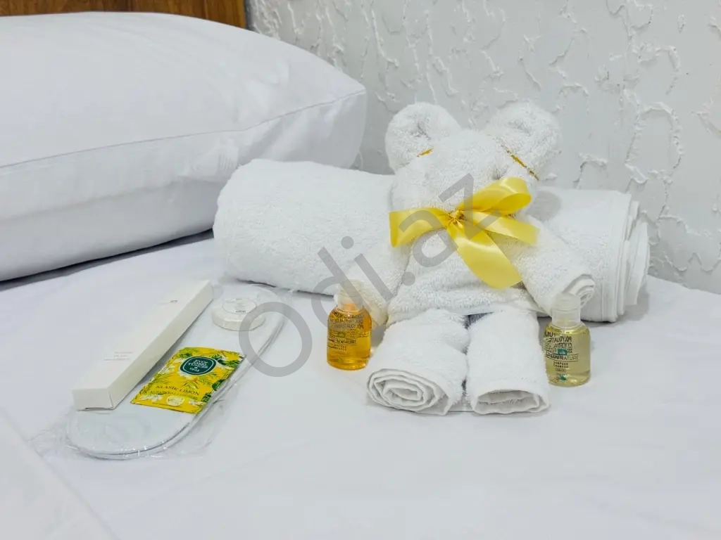 Alina Home Bakı