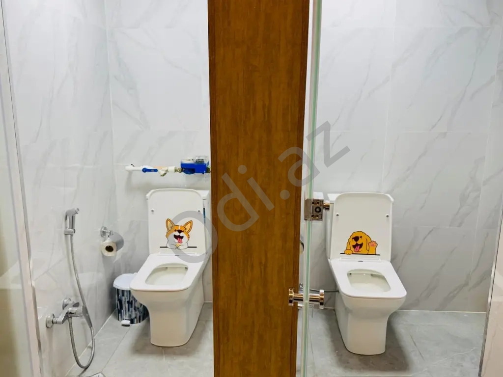 Alina Home Bakı