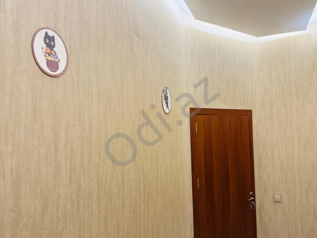 Alina Home Bakı