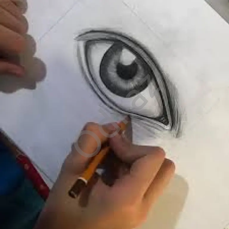 Rəssamlıq kursları