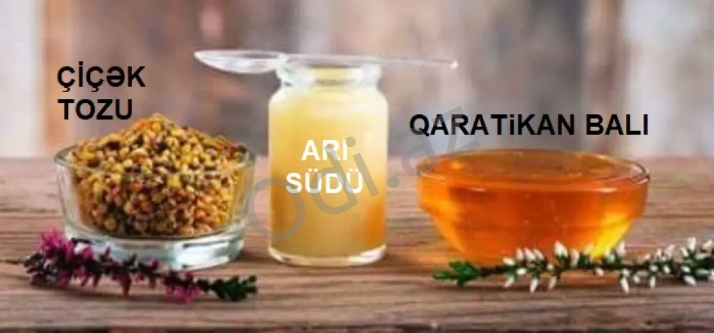 Bal və Arı məhsulları