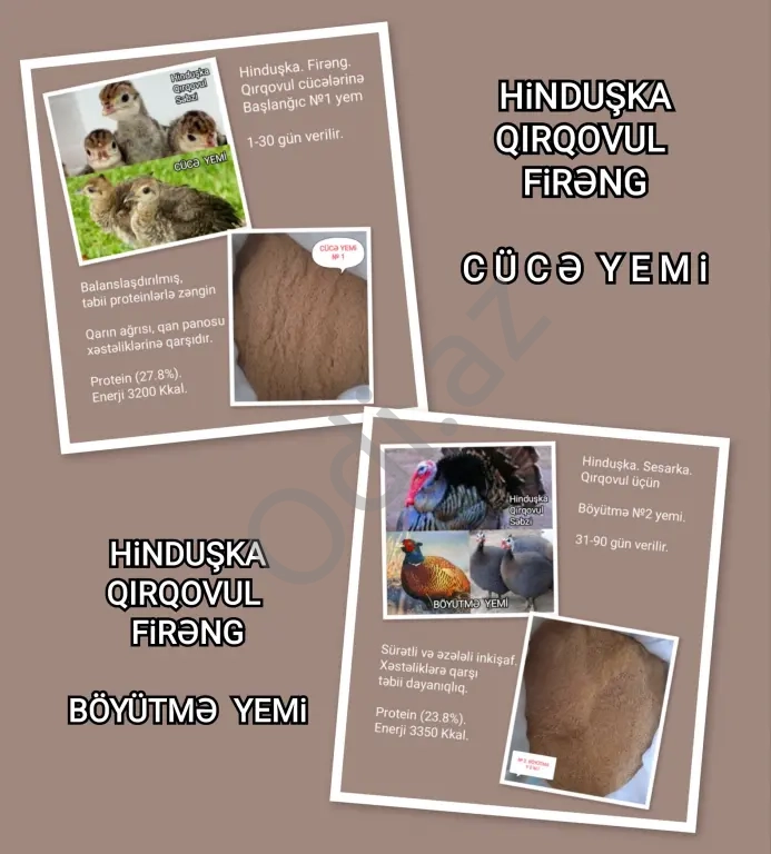 Yüksək Proteinli YEM