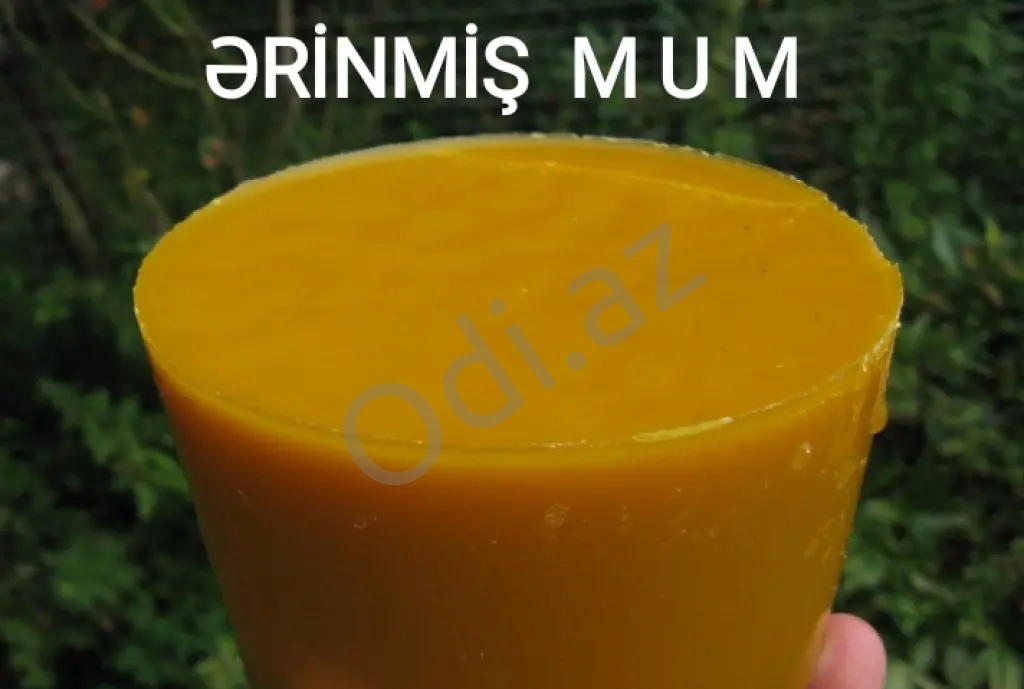 Bal və Arı məhsulları