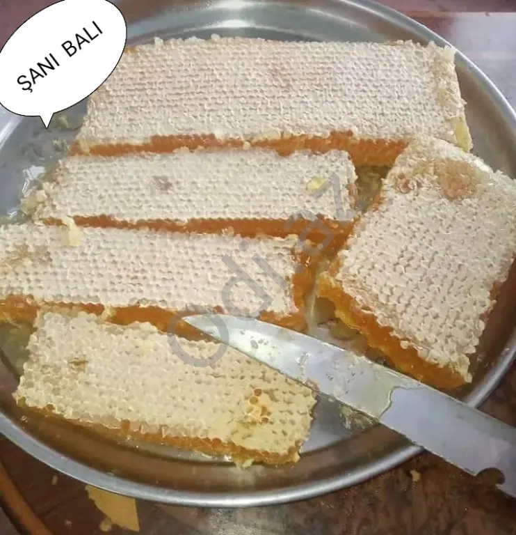 Bal və Arı məhsulları