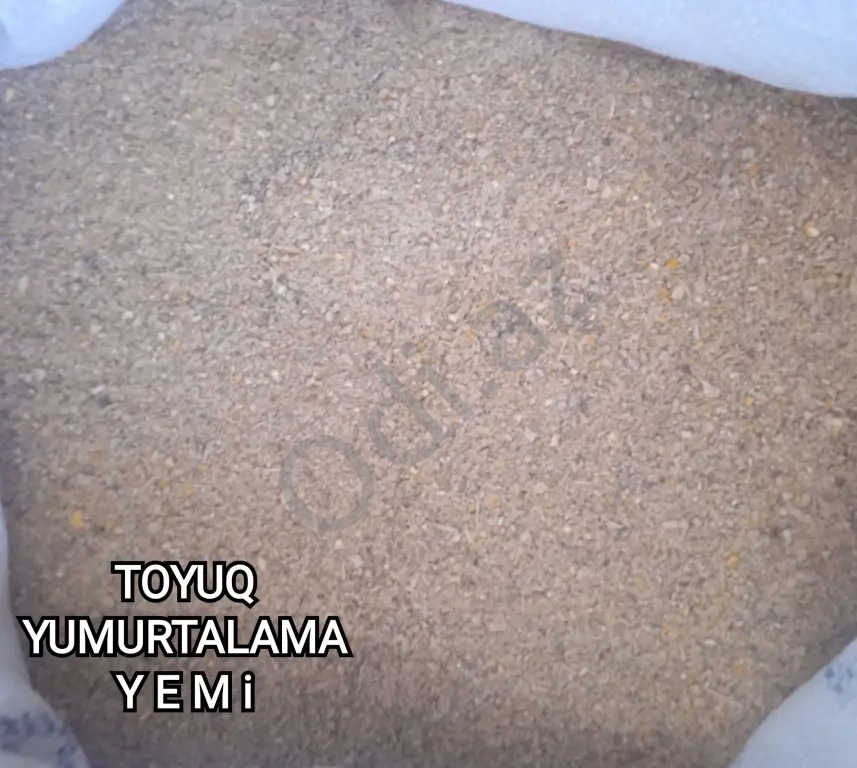 Yumurtalama yemi