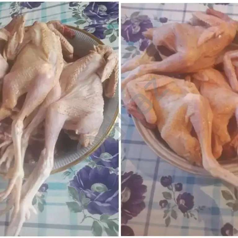 Serebrist Çolpalar