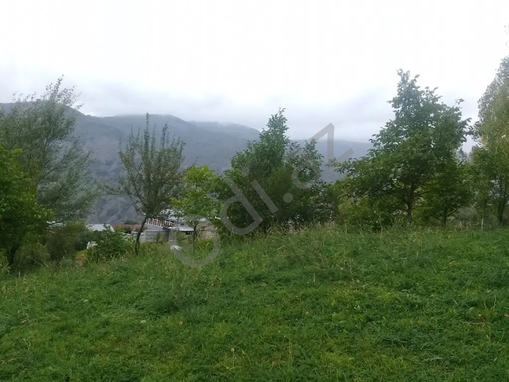 Lahıc İsmayıllı kupçalı torpaq satılır