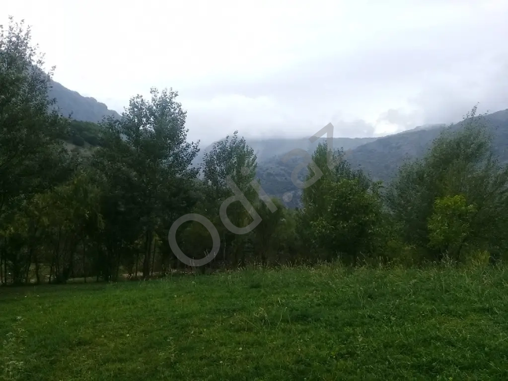 Lahıc İsmayıllı kupçalı torpaq satılır