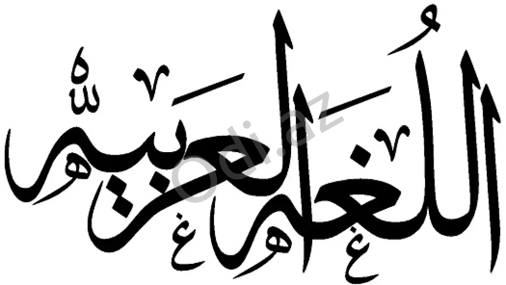 Ərəb dili kursları.