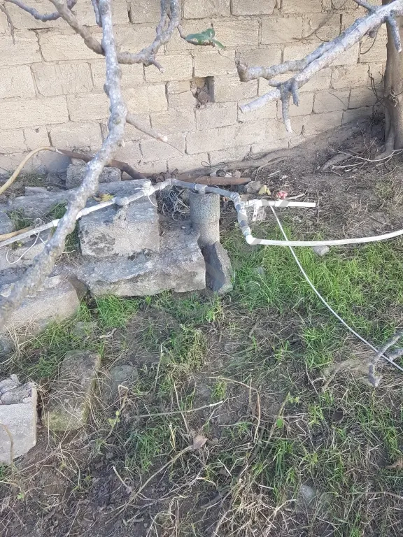 Nardaranda bağlarında ev satılır 22 sot Nardaranda bağlarında ev satılır 22 sot