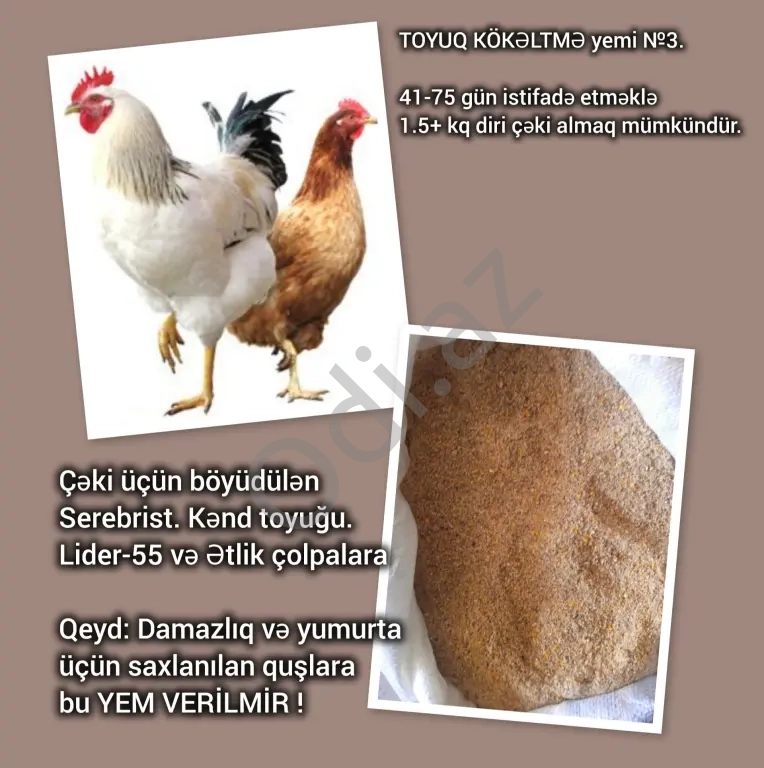 Yüksək Proteinli YEM