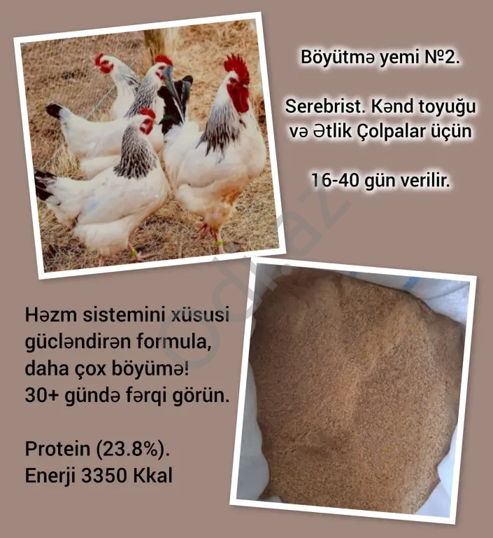 Böyütmə yemi №2