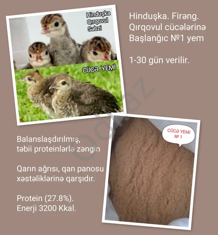Hinduşka. Firəng. Qırqovul cücələri üçün №1 Başlanğıc yemi