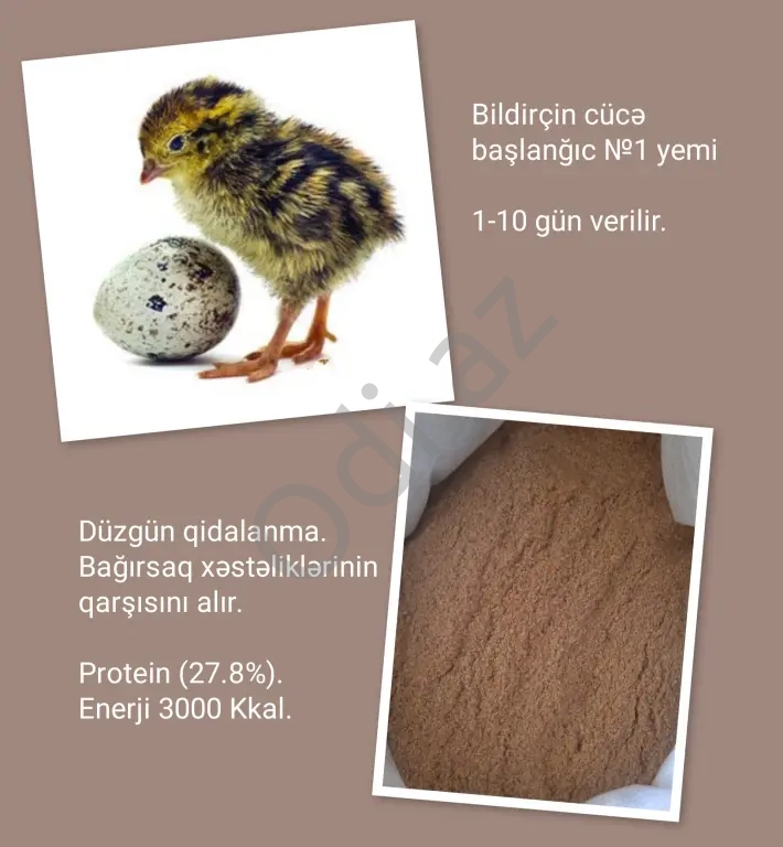 Bildirçin cücələrinə başlanğıc №1 yemi