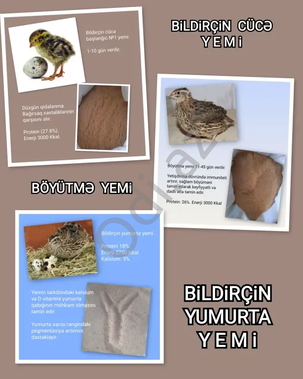 Yüksək Proteinli YEM
