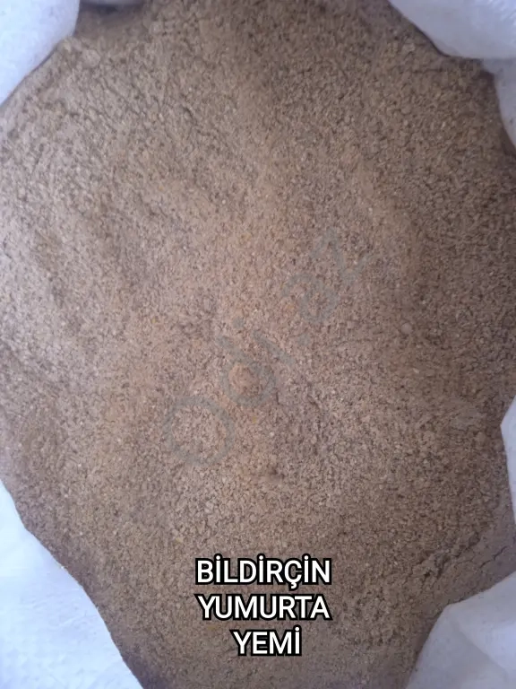 Yüksək Proteinli YEM