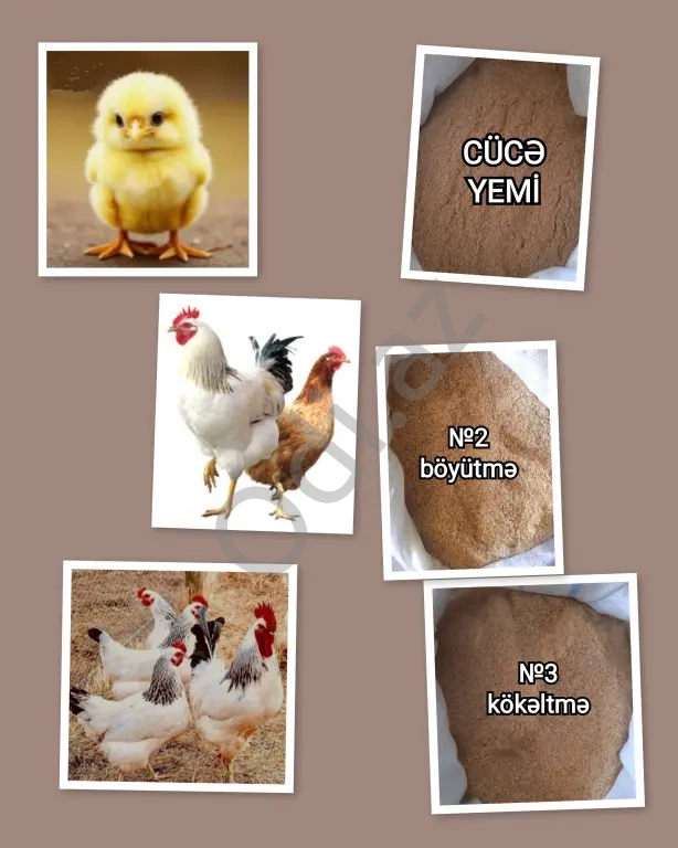 Yüksək Proteinli YEM