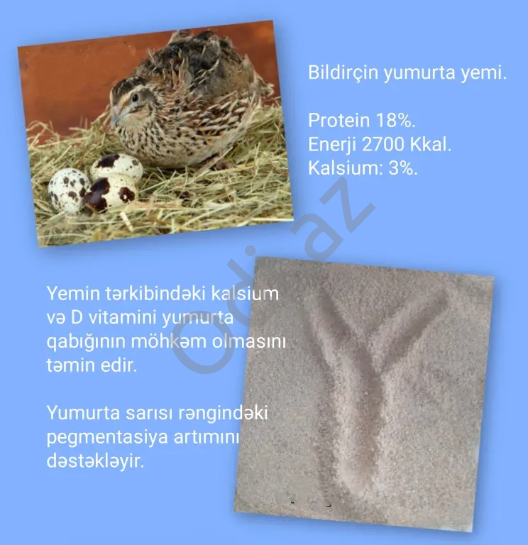 Yüksək Proteinli YEM