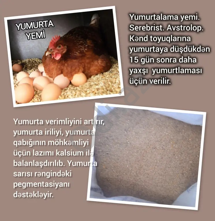 Yumurtalama yemi