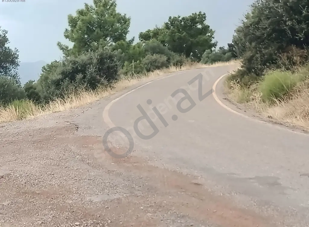 Türkiye Dalaman Şerefler Satılık Müstakil Tapulu Sahibinden Zeytinlik 5444m2