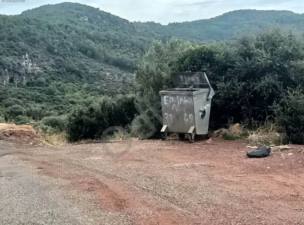 Türkiye Dalaman Şerefler Satılık Müstakil Tapulu Sahibinden Zeytinlik 5444m2