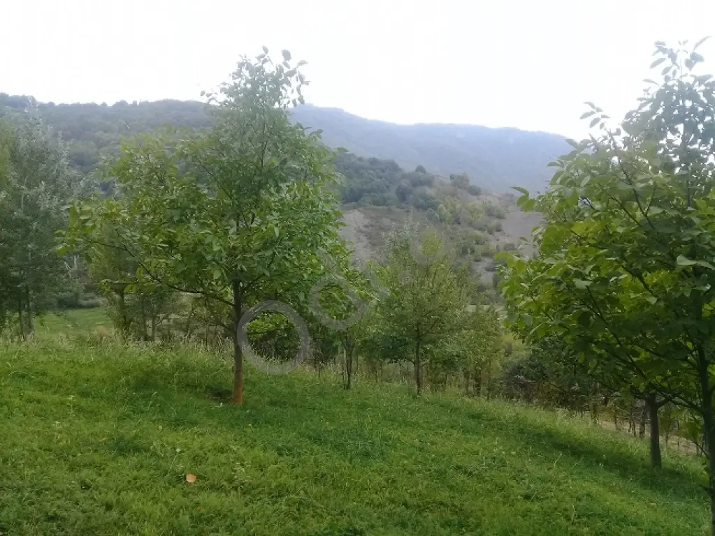 Lahıcda(İsmayıllı) kupçalı torpaq satılır