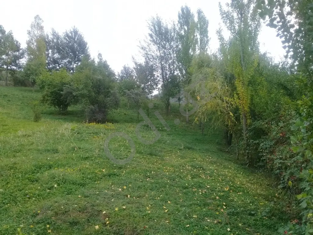 Lahıcda(İsmayıllı) kupçalı torpaq satılır