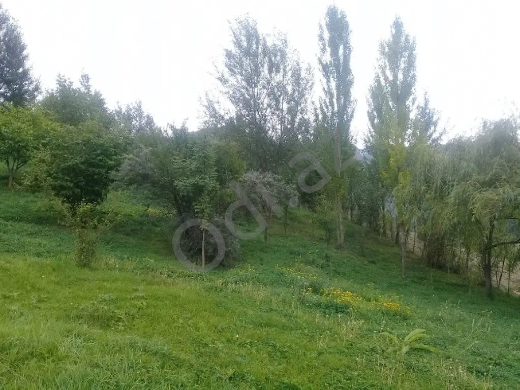 Lahıcda(İsmayıllı) kupçalı torpaq satılır