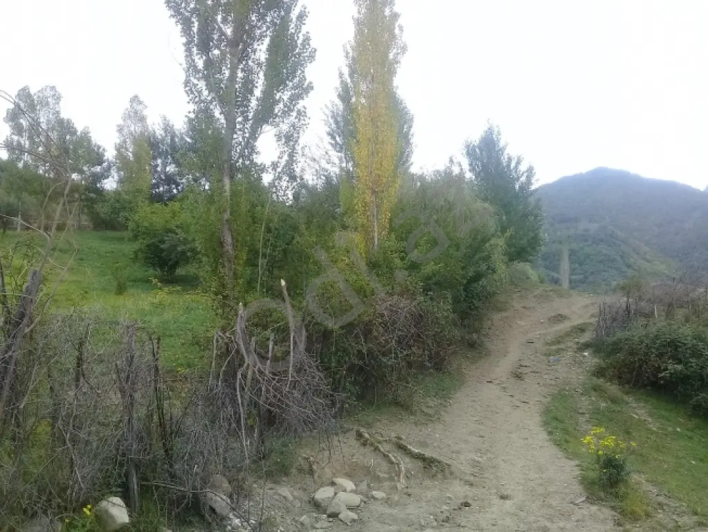 Lahıcda(İsmayıllı) kupçalı torpaq satılır